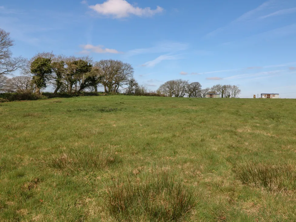Moor View Retreat (Views): meadow and trees